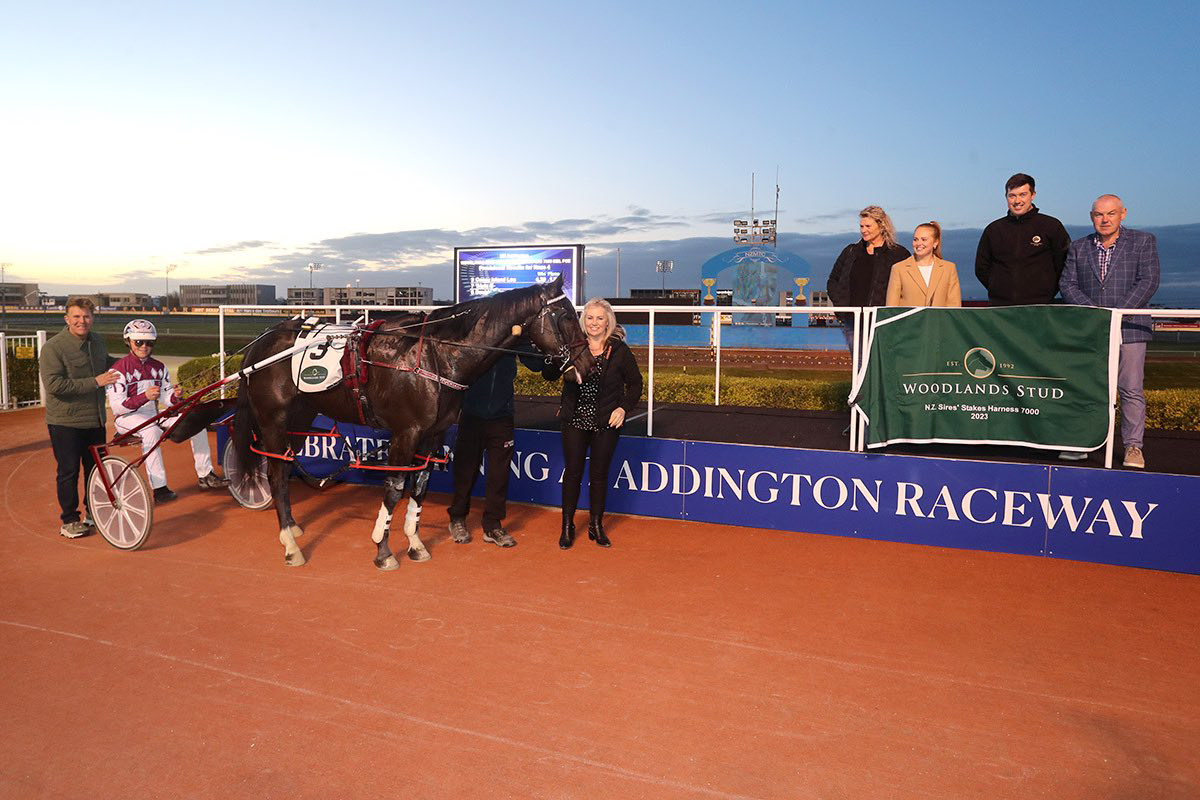 Coney Island Lou Connections